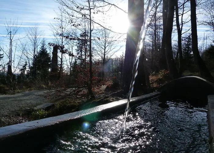 Hotel-gasthof Zum Bach