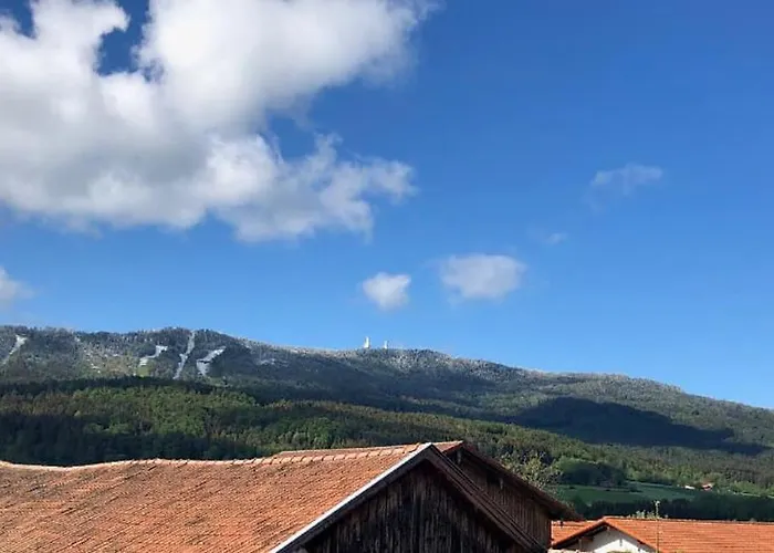 Hotel-gasthof Zum Bach Neukirchen beim Heiligen Blut
