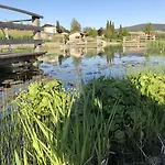 Hotel-gasthof Zum Bach نيوكيرتشن بيم هيليغين بلوت