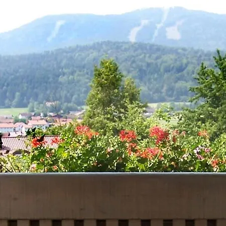 Hotel-gasthof Zum Bach Hotel Neukirchen beim Heiligen Blut