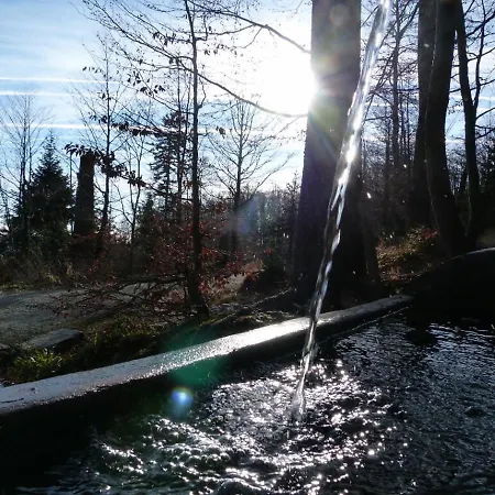 Hotel-gasthof Zum Bach