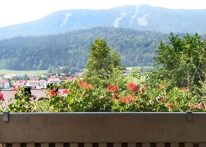 Hotel-gasthof Zum Bach Hotell Neukirchen beim Heiligen Blut